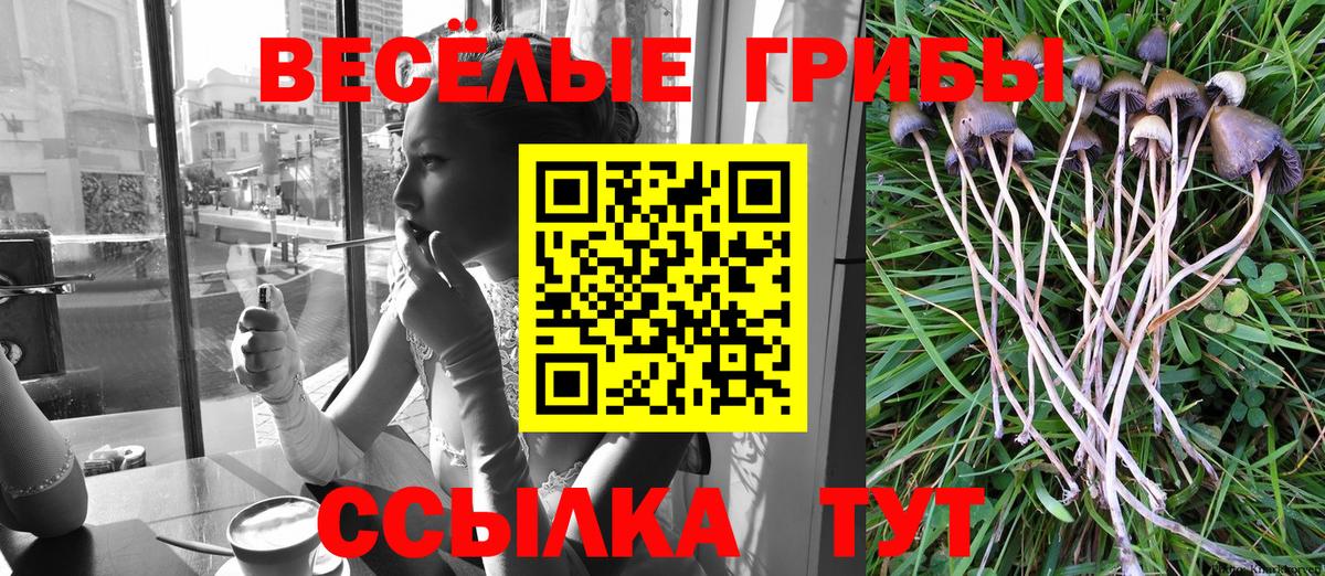 Галлюциногенные грибы прущие грибы  магазин    Сатка  Вход с VPN 